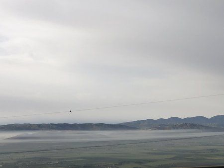 399D753F-0971-46E5-9B23-758AE58CEA30.jpeg
