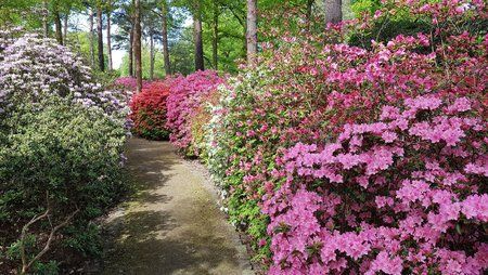 20180503_113154.jpg