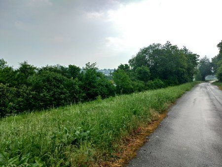 P_20180510_085334_vHDR_Auto_HP - Kopie.jpg