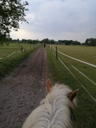 IMG_20180510_191449.jpg