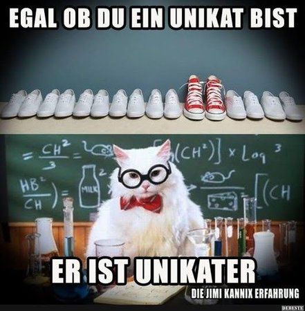 06e294750e6871e8d9b5b2aeadfd8997.jpg