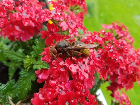 20180516_160304.jpg