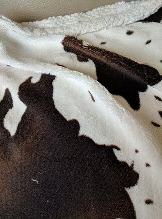 IMG_20180519_115943.jpg
