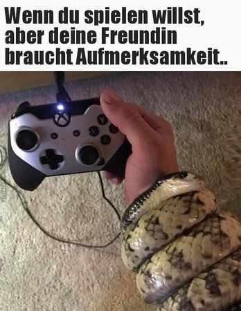 ckizuliul.jpeg