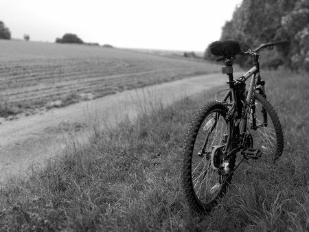 Meine Fotos -235.jpg