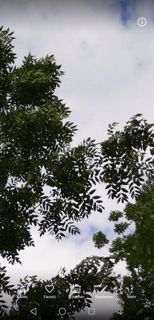 Screenshot_20180522-155122.jpg