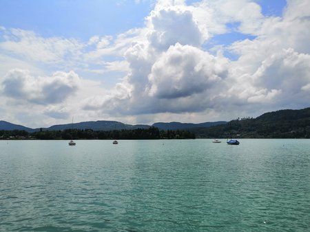 IMG_20180524_115419.jpg