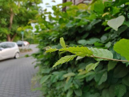 IMG_20180524_202308_Bokeh.jpg