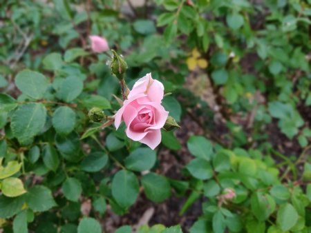 IMG_20180524_202228_Bokeh.jpg