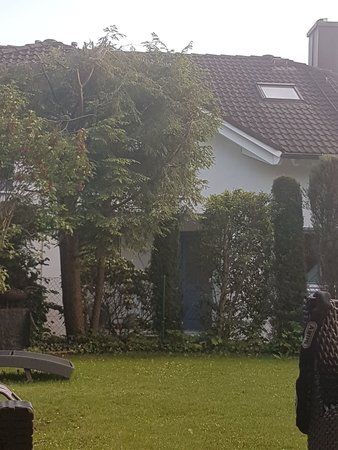20180525_193140.jpg