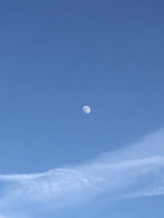 7FEF8F1C-56FA-4DEB-A550-7A873A50D706.jpeg