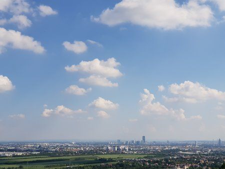 20180526_162631.jpg