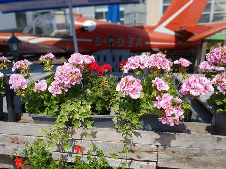 20180526_151434.jpg