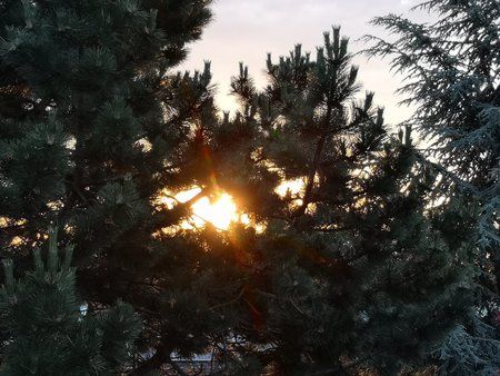 IMG_20180527_055853.jpg