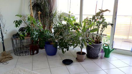 IMG_20180526_113059[1].jpg