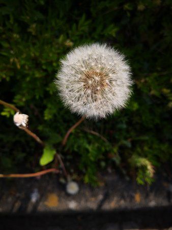 IMG_20180515_114544.jpg