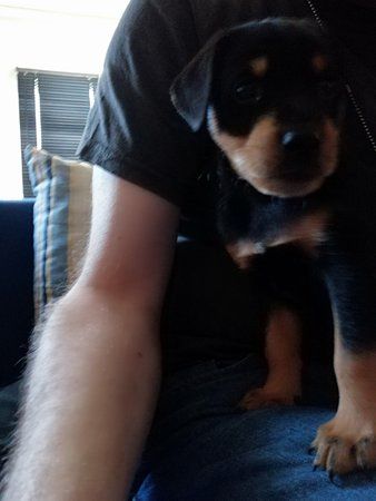 IMG_20180528_114410.jpg