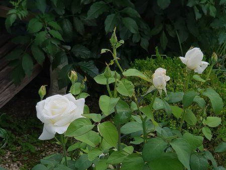 20180527_181305.jpg