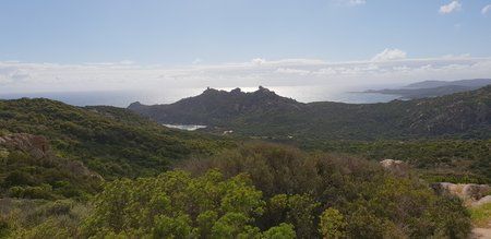 20180515_165459.jpg