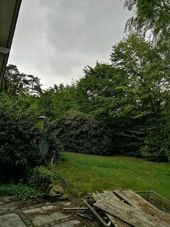 IMG_20180529_180535.jpg