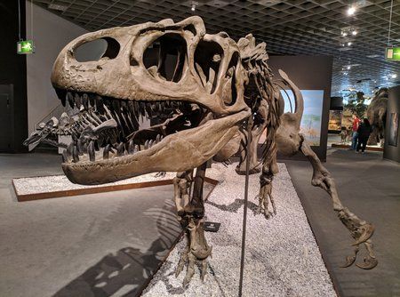 MVIMG_20180520_140342.jpg