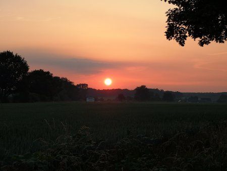IMG_20180531_211947.jpg