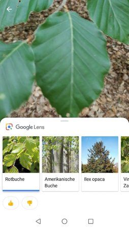 Screenshot_20180602-132440.jpg