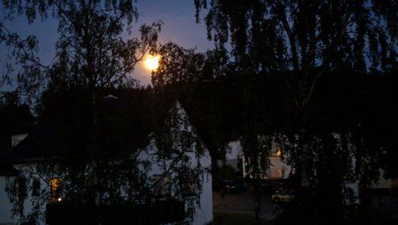 IMG_20180528_222109.jpg