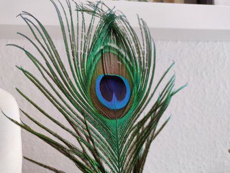 IMG_20180604_175604.jpg
