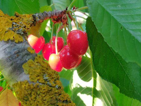 IMG_20180605_185545.jpg