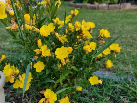 IMG_20180605_205512_Bokeh.jpg