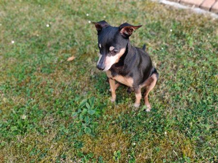 IMG_20180605_205256_Bokeh.jpg