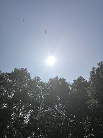 IMG_20180606_113105.jpg
