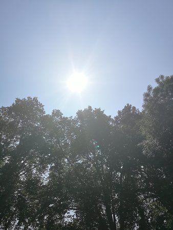 IMG_20180606_113017.jpg
