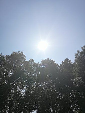 IMG_20180606_113109.jpg
