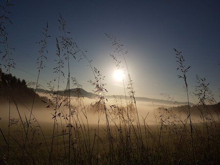 20180606_062754.jpg