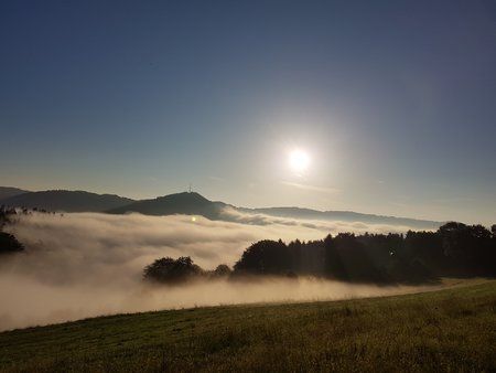 20180606_062937.jpg