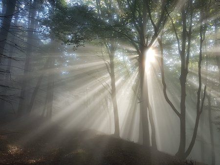 20180606_071814.jpg
