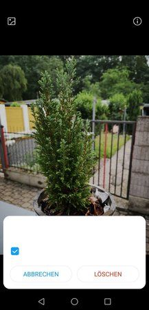 Screenshot_20180606-212057.jpg