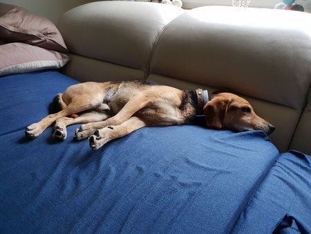 20180607_202736.jpg