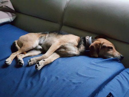 20180607_202754.jpg