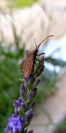 IMG_20180607_172143.jpg