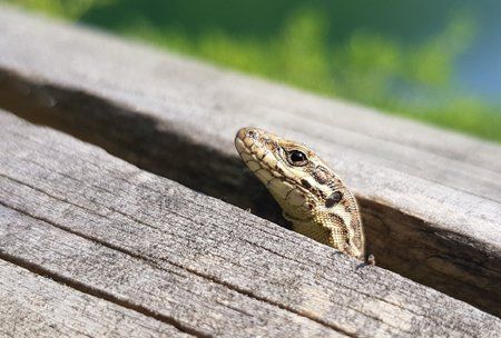20180519_172142.jpg