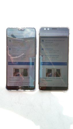 IMAG0281.jpg