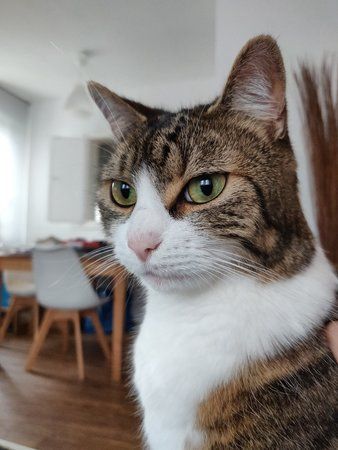 IMG_20180607_193604.jpg