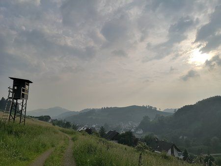 IMG_20180608_193039.jpg