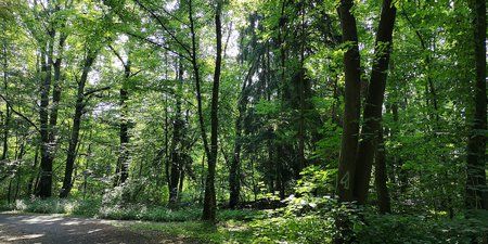 IMG_20180609_101657.jpg