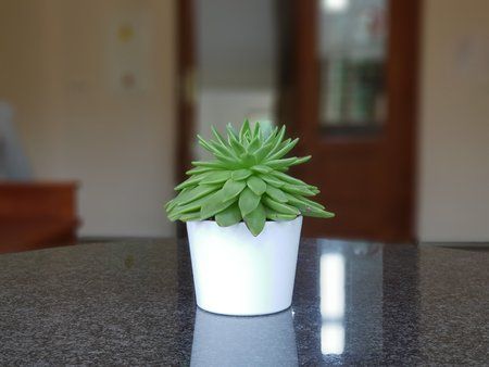 20180523_131247.jpg