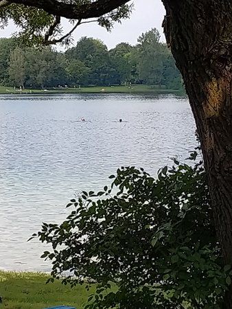 IMG_20180610_105626.jpg