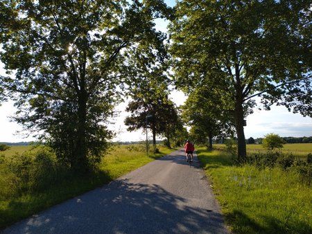 2018-06-14 18.50.20.jpg
